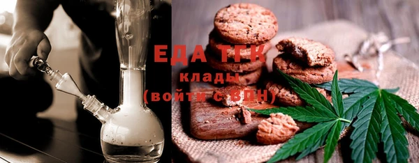 индика Ельня